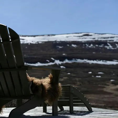 펜션 Renovated Mountain With Cross Country Trails *