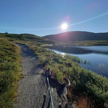 Renovated Mountain With Cross Country Trails