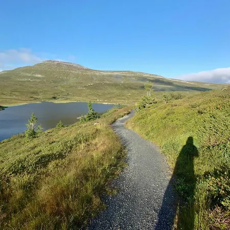 Renovated Mountain With Cross Country Trails 別荘 Flå